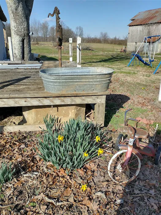 Marcella Falls RV Park Picture 5