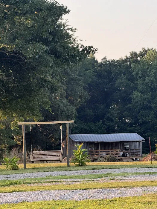 Marcella Falls RV Park Picture 4