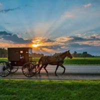 Marcella Falls RV Park ico