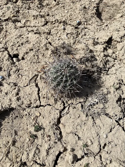 Wood Hill Campground Picture 5