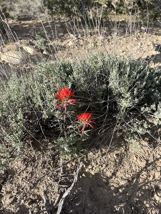 Wood Hill Campground Picture 6