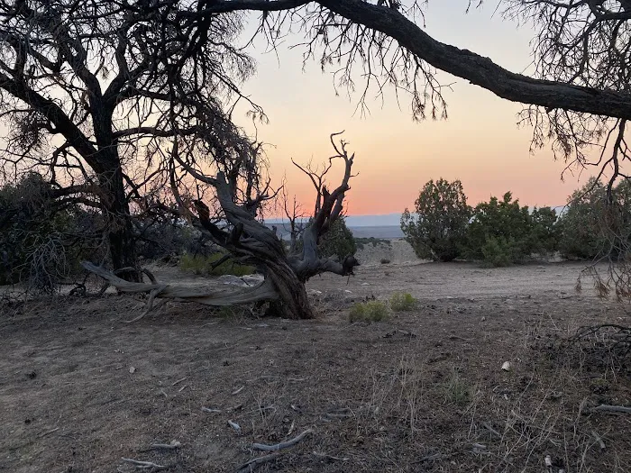 Wood Hill Campground Picture 9