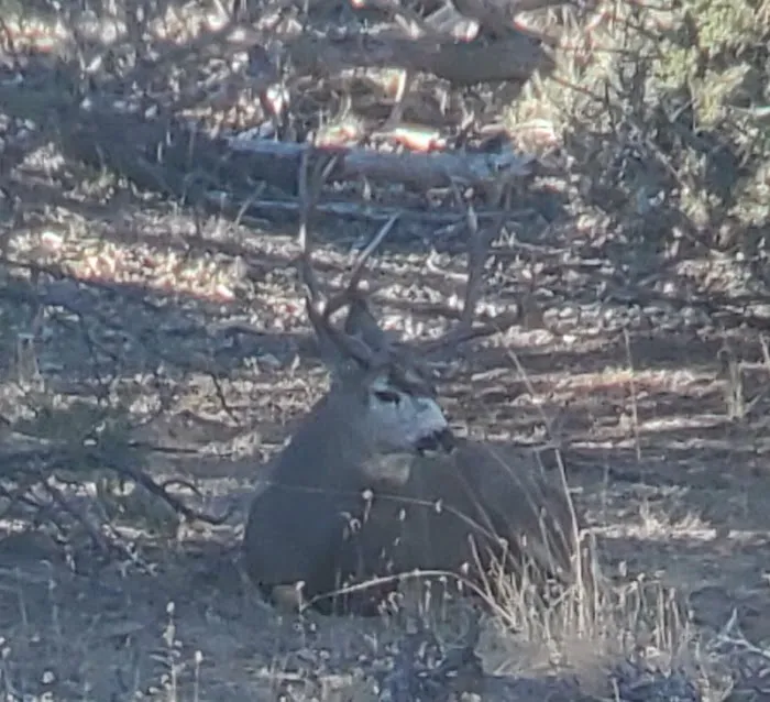 Hiawatha Hideout Picture 7