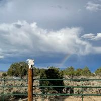 Hiawatha Hideout ico