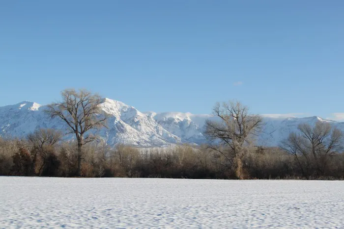 Long Park Reservoir Campground Picture 10