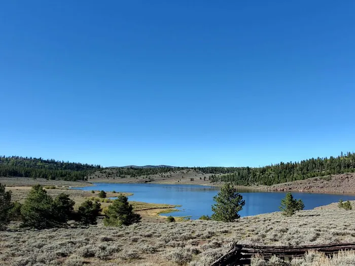 Browne Lake Campground Picture 1