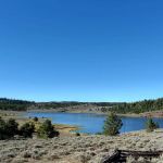 Browne Lake Campground