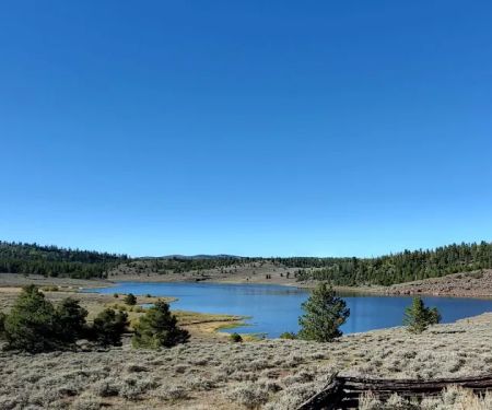 Browne Lake Campground