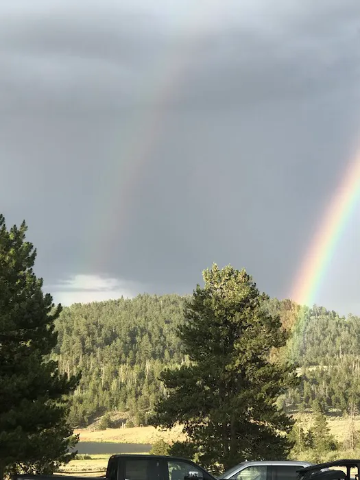 Browne Lake Campground Picture 9