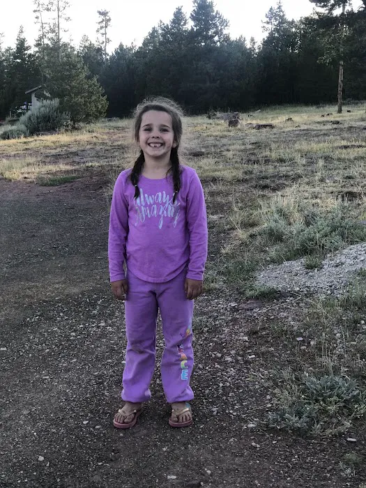 Browne Lake Campground Picture 7