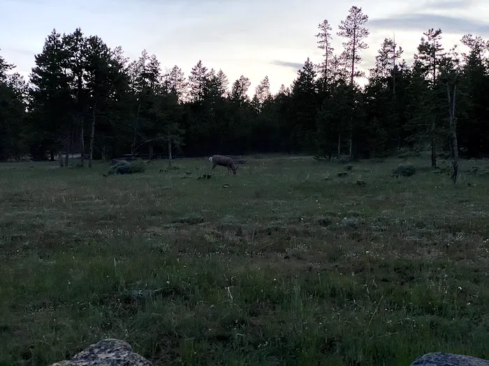 Browne Lake Group Campground Picture 1