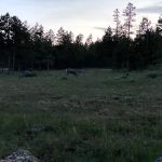 Browne Lake Group Campground