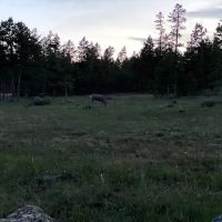 Browne Lake Group Campground ico