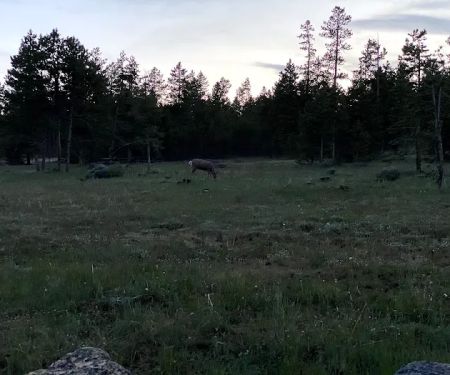 Browne Lake Group Campground