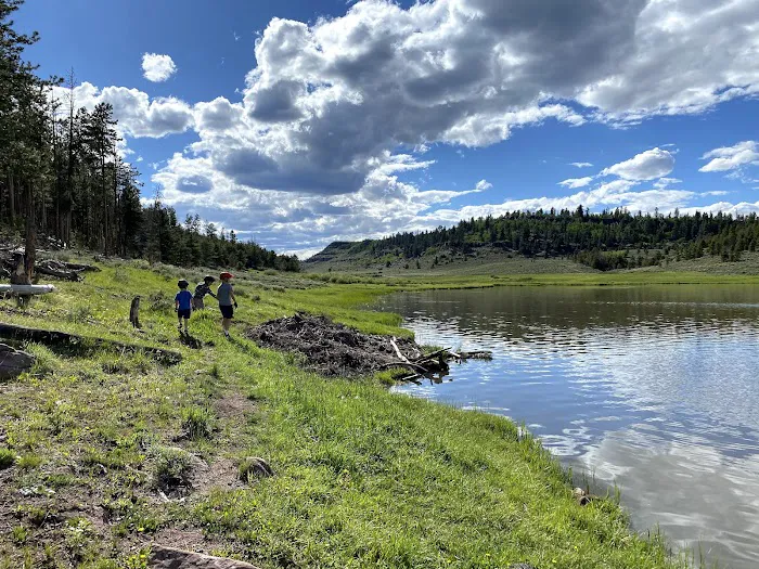 Browne Lake Group Campground Picture 3