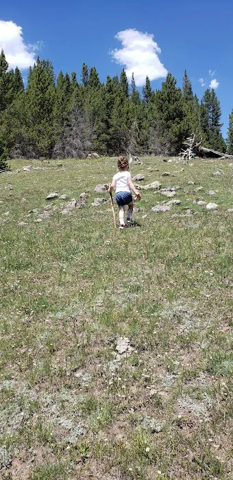 North Fork Camping Area Picture 8