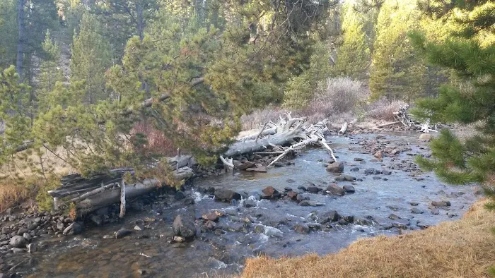 North Fork Camping Area Picture 9