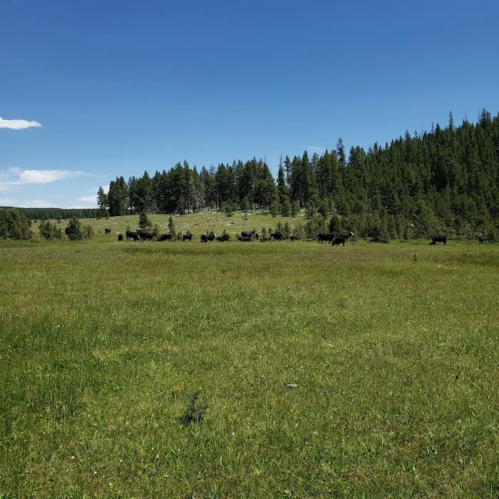 North Fork Camping Area Picture 5