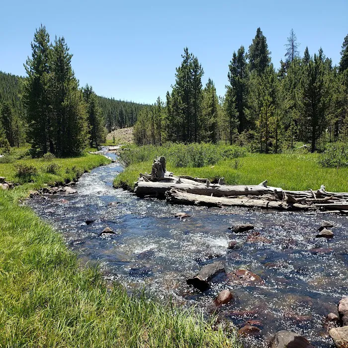 North Fork Camping Area Picture 6