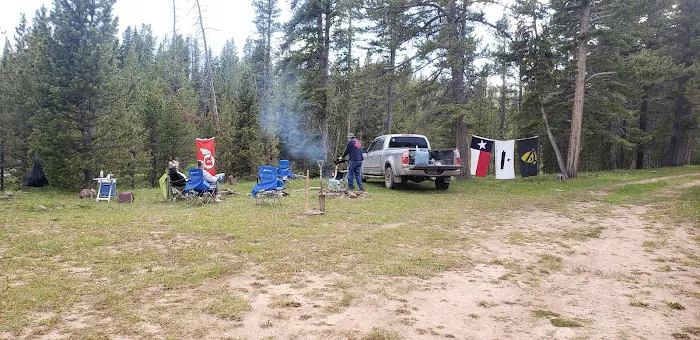North Fork Camping Area Picture 1