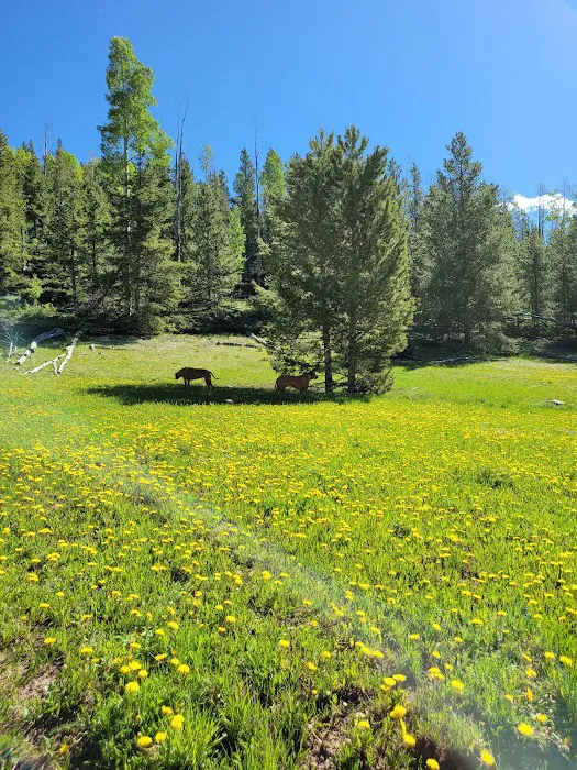 Kaler Hollow Campground Picture 1