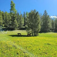 Kaler Hollow Campground ico