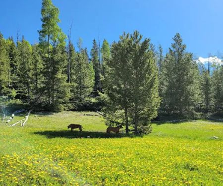 Kaler Hollow Campground