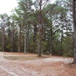 Blue Rock Campground & RV Park