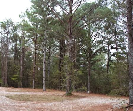 Blue Rock Campground & RV Park