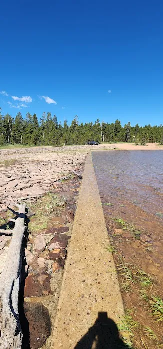 Oaks Park Campground Picture 7