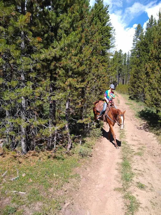 Oaks Park Campground Picture 10