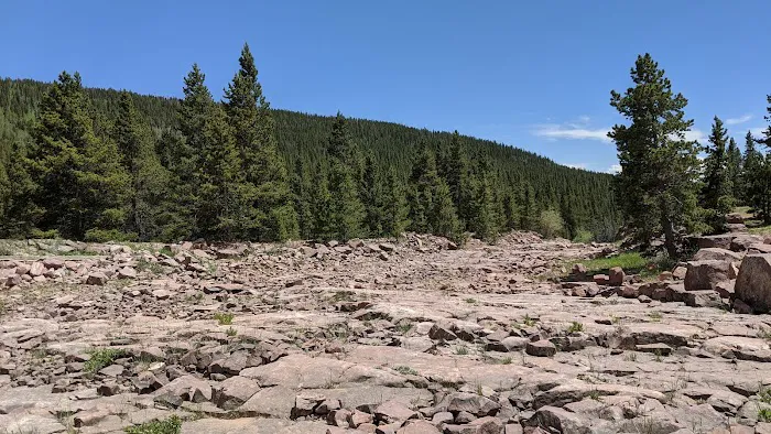 Oaks Park Campground Picture 1