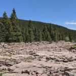 Oaks Park Campground