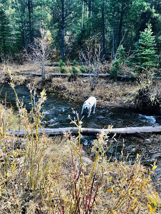 Deep Creek Campground Picture 4