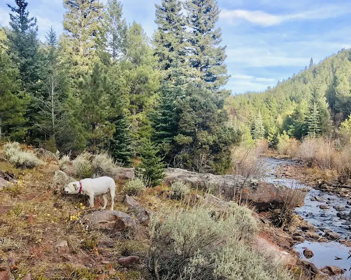 Deep Creek Campground Picture 7