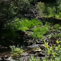 Deep Creek Campground ico