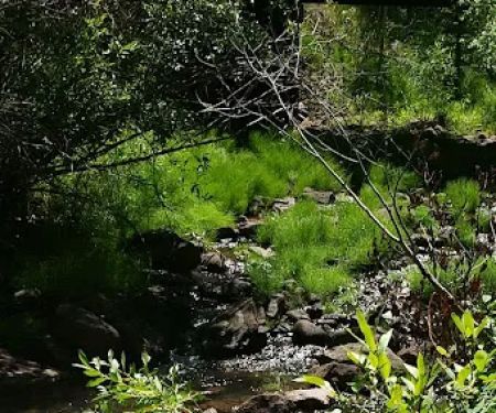 Deep Creek Campground