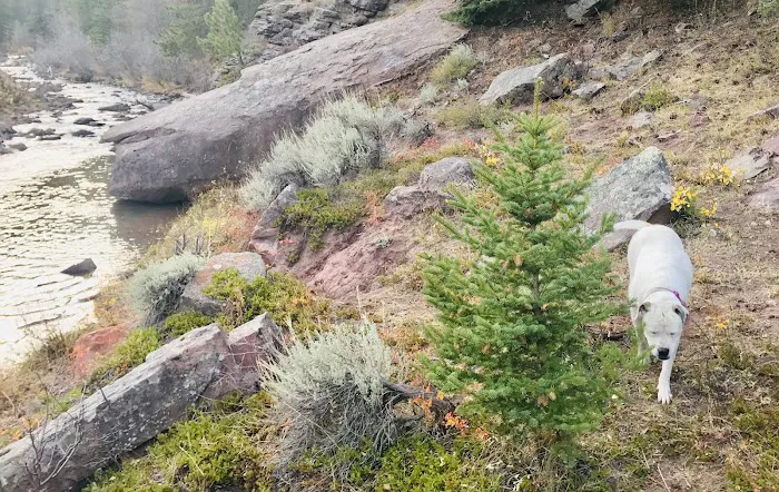 Deep Creek Campground Picture 2