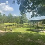 Pineview RV Campground