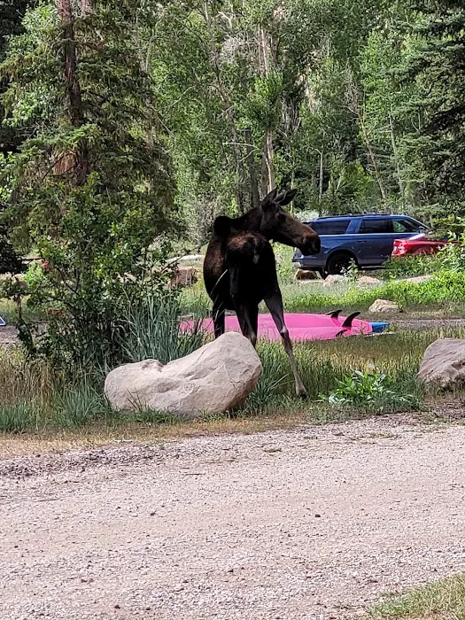 Carmel Campground Picture 4