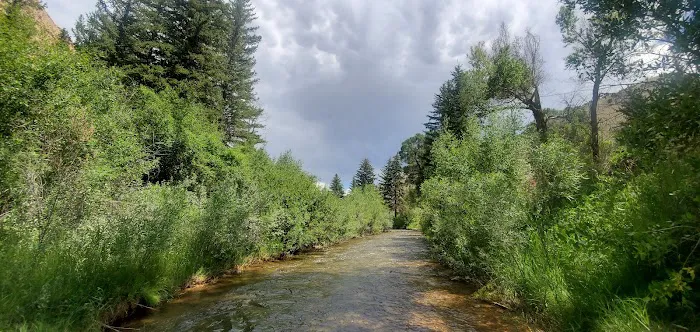 Carmel Campground Picture 8