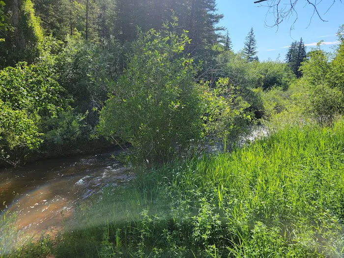 Carmel Campground Picture 2