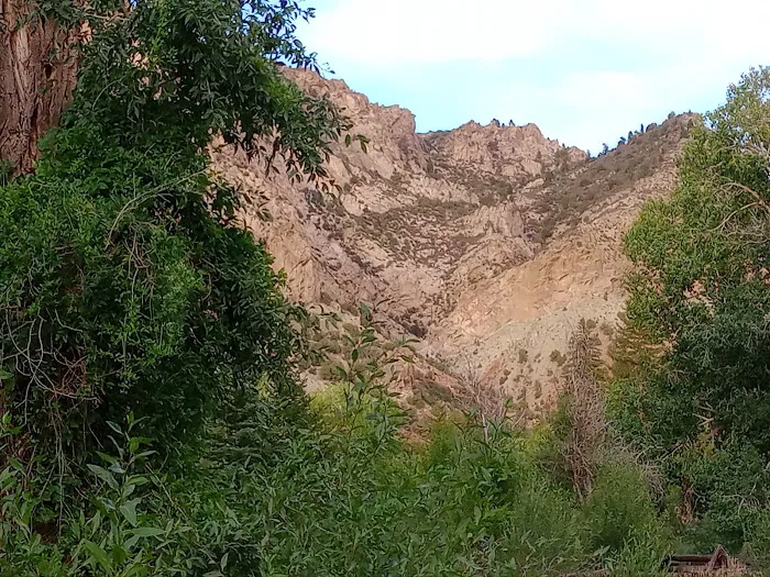 Willows Campground Picture 3