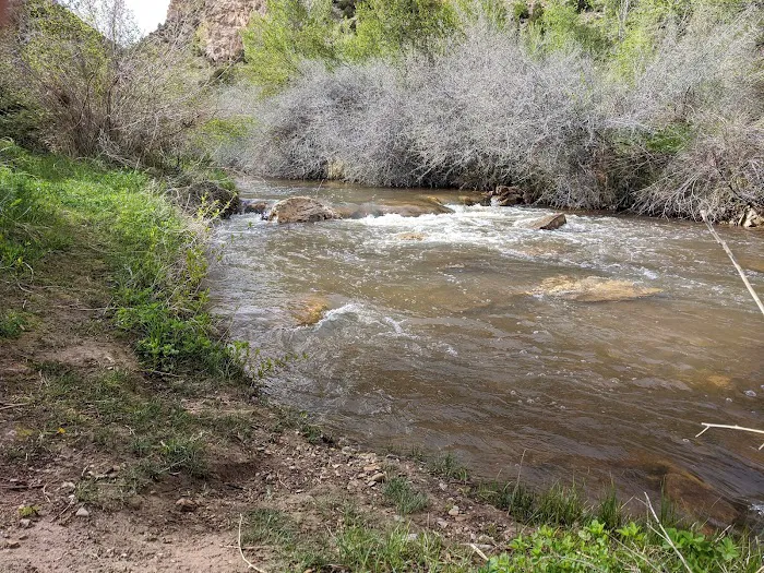 Willows Campground Picture 10