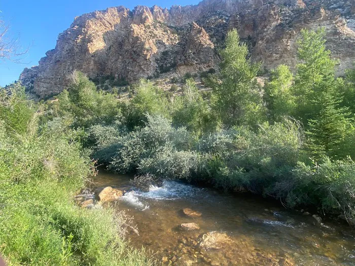 Willows Campground Picture 1