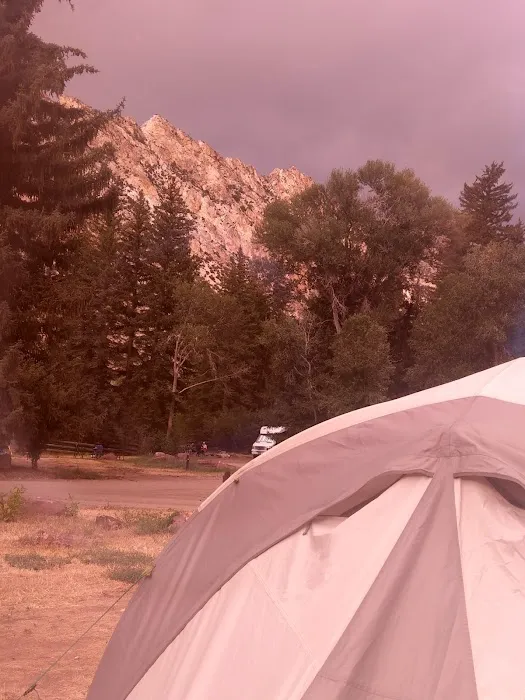 Willows Campground Picture 6