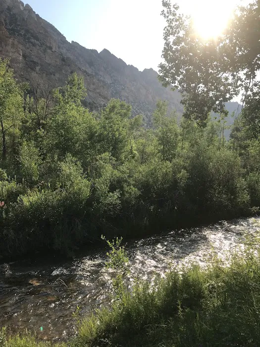 Willows Campground Picture 9