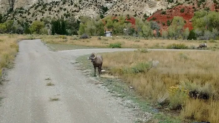 Manns Campground Picture 3