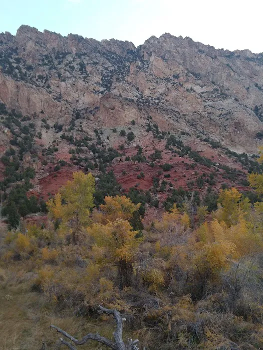 Manns Campground Picture 6