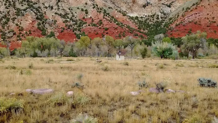 Manns Campground Picture 8